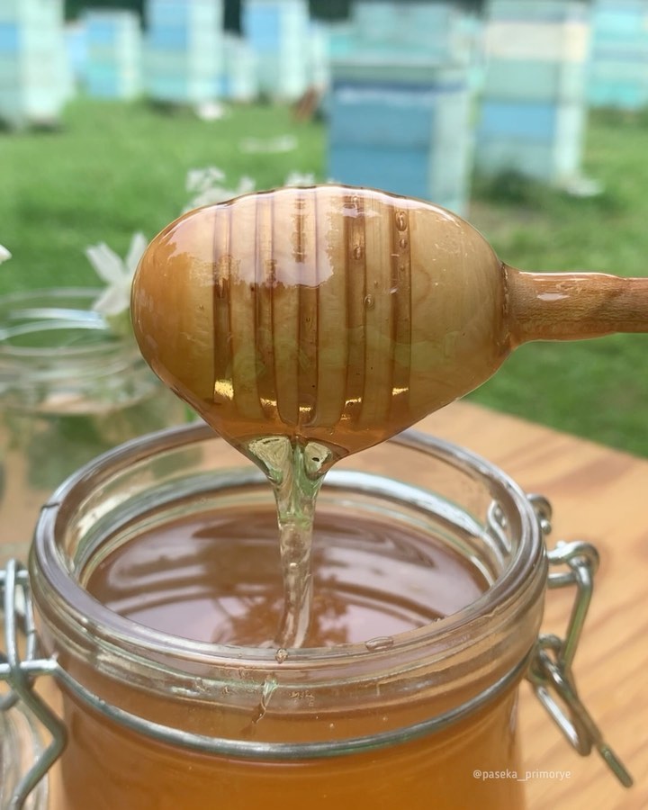 Benefits of honey and how to choose it